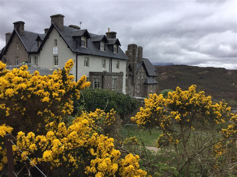 tongue hotel reviews|the tongue hotel scotland.